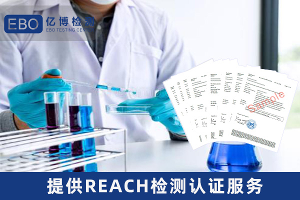 亚马逊REACH